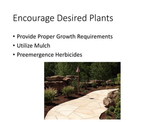 Picture of Weed Control Methods | PDF