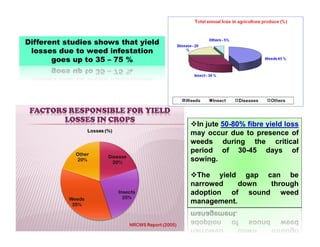 Different studies shows that yield
losses due to weed infestation
goes up to 35 – 75 %
In jute 50-80% fibre yield loss
may occur due to presence of
weeds during the critical
period of 30-45 days of
sowing.
The yield gap can be
narrowed down through
adoption of sound weed
management.
 