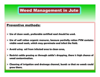 Weed Management in Jute
Preventive methods:
 Use of clean seeds, preferable certified seed should be used.
 Use of well rotten organic manures, because partially rotton FYM contains
viable weed seeds, which may germinate and infest the field.
 Avoid using soil from infested area to clean area,
 Restrict cattle grazing as through cattle’s dropping, there is high chance of
weed contamination.
 Cleaning of irrigation and drainage channel, bunds so that no weeds could
grow there.
 