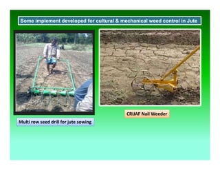 Multi row seed drill for jute sowing
CRIJAF Nail Weeder
Some implement developed for cultural & mechanical weed control in Jute
 