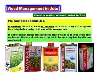 Pre-emergence herbicides:
BUTACHLOR 50 EC / 50 EW or BUTACHLOR 5G @ 1.0 to 1.5 kg a.i./ ha applied
from 7 days before sowing to 72 hour within sowing of jute.
It controls annual grasses and some broad leaved weeds up to three weeks after
application. Presence of moisture in the soil is the pre – requisite for effective
weed control.
Weed Management in Jute
Chemical method of weed control in Jute
 