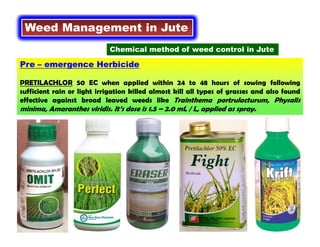 Pre – emergence Herbicide
PRETILACHLOR 50 EC when applied within 24 to 48 hours of sowing following
sufficient rain or light irrigation killed almost kill all types of grasses and also found
effective against broad leaved weeds like Trainthema portrulacturum, Physalis
minima, Amaranthes viridis. It’s dose is 1.5 – 2.0 mL / L, applied as spray.
Weed Management in Jute
Chemical method of weed control in Jute
 