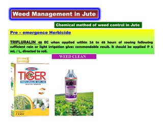 Pre – emergence Herbicide
TRIFLURALIN 48 EC when applied within 24 to 48 hours of sowing following
sufficient rain or light irrigation gives commendable result. It should be applied @ 5
mL / L, directed to soil.
Weed Management in Jute
Chemical method of weed control in Jute
 