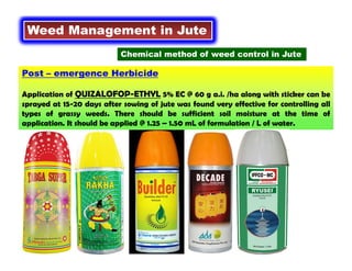 Post – emergence Herbicide
Application of QUIZALOFOP-ETHYL 5% EC @ 60 g a.i. /ha along with sticker can be
sprayed at 15-20 days after sowing of jute was found very effective for controlling all
types of grassy weeds. There should be sufficient soil moisture at the time of
application. It should be applied @ 1.25 – 1.50 mL of formulation / L of water.
Weed Management in Jute
Chemical method of weed control in Jute
 