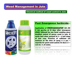 Post Emergence herbicide :
Application of PROPAQUIZAFOP 10% EC
@ 150 ga.i/ha at 15 days after emergence
(DAE) followed by one hand weeding gives
excellent control of grassy weed in jute. It
works best when sprayed at 2 – 4 leaf stage
of Jute crop. Presence of sufficient soil
moisture at the time of spray is a pre –
requisite for good weed control. Its dose is 1 –
1.25 mL / L of water.
Weed Management in Jute
Chemical method of weed control in Jute
 