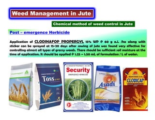 Weed Management in Jute
Chemical method of weed control in Jute
Post – emergence Herbicide
Application of CLODINAFOP PROPERGYL 15% WP @ 60 g a.i. /ha along with
sticker can be sprayed at 15-20 days after sowing of jute was found very effective for
controlling almost all types of grassy weeds. There should be sufficient soil moisture at the
time of application. It should be applied @ 1.25 – 1.50 mL of formulation / L of water.
 