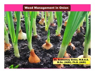Weed Management in OnionWeed Management in Onion
Dr. Subhomay Sinha, W.B.A.S.
M.Sc. (IARI), Ph.D. (IARI)
1
 