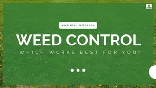 Weed Control Which Works Best For You