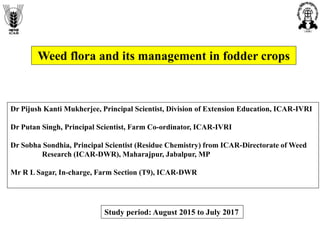 Weed flora and its management in fodder crops
Dr Pijush Kanti Mukherjee, Principal Scientist, Division of Extension Education, ICAR-IVRI
Dr Putan Singh, Principal Scientist, Farm Co-ordinator, ICAR-IVRI
Dr Sobha Sondhia, Principal Scientist (Residue Chemistry) from ICAR-Directorate of Weed
Research (ICAR-DWR), Maharajpur, Jabalpur, MP
Mr R L Sagar, In-charge, Farm Section (T9), ICAR-DWR
Study period: August 2015 to July 2017
 