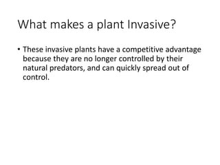 Planting Time Invasive Weed ID and Life Cycle | PDF