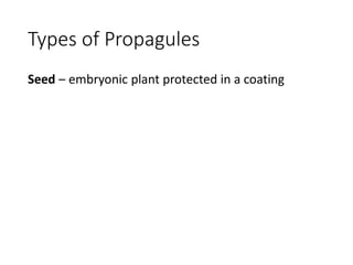 Weed ID and Life Cycle | PDF