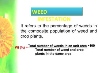 WEED
INFESTATION
It refers to the percentage of weeds in
the composite population of weed and
crop plants.
Total number of weeds in an unit area
Total number of weed and crop
plants in the same area
×100
WI (%) =
 