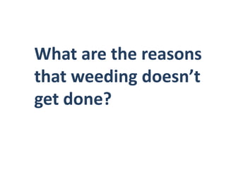 What are the reasons that weeding doesn’t get done?