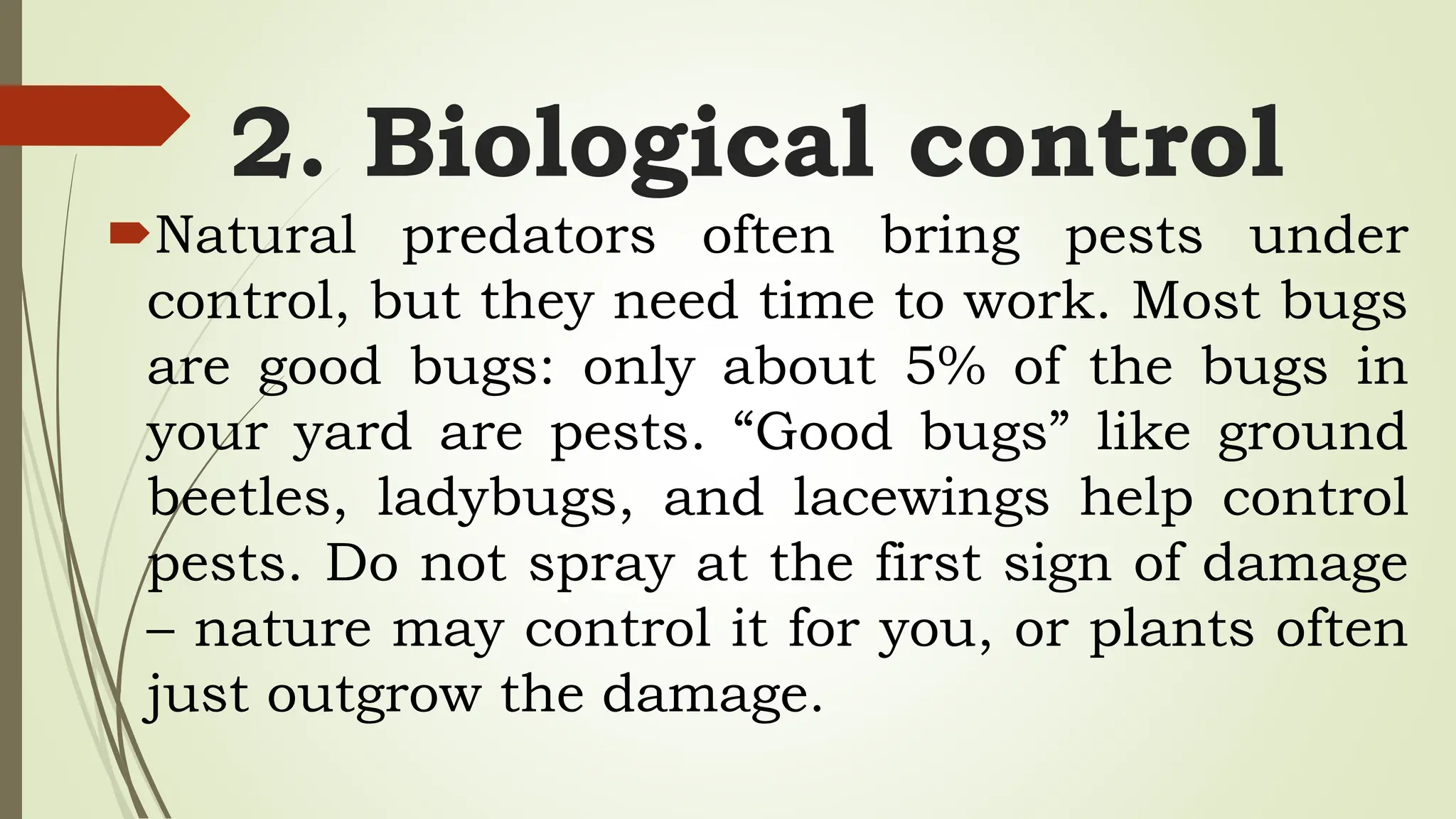 2. Biological control
Natural predators often bring pests under
control, but they need time to work. Most bugs
are good bugs: only about 5% of the bugs in
your yard are pests. “Good bugs” like ground
beetles, ladybugs, and lacewings help control
pests. Do not spray at the first sign of damage
– nature may control it for you, or plants often
just outgrow the damage.
 