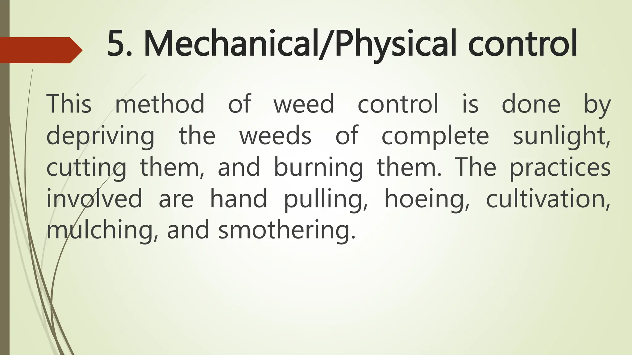 5. Mechanical/Physical control
This method of weed control is done by
depriving the weeds of complete sunlight,
cutting them, and burning them. The practices
involved are hand pulling, hoeing, cultivation,
mulching, and smothering.
 