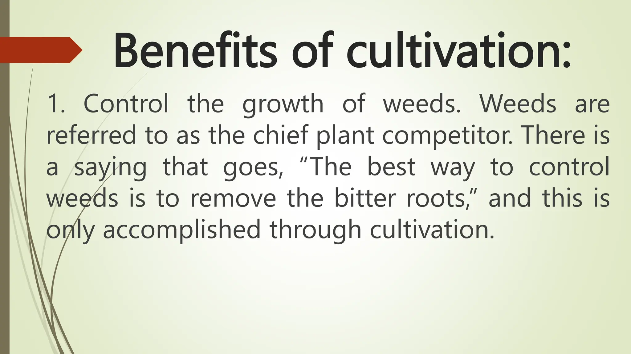 Benefits of cultivation:
1. Control the growth of weeds. Weeds are
referred to as the chief plant competitor. There is
a saying that goes, “The best way to control
weeds is to remove the bitter roots,” and this is
only accomplished through cultivation.
 