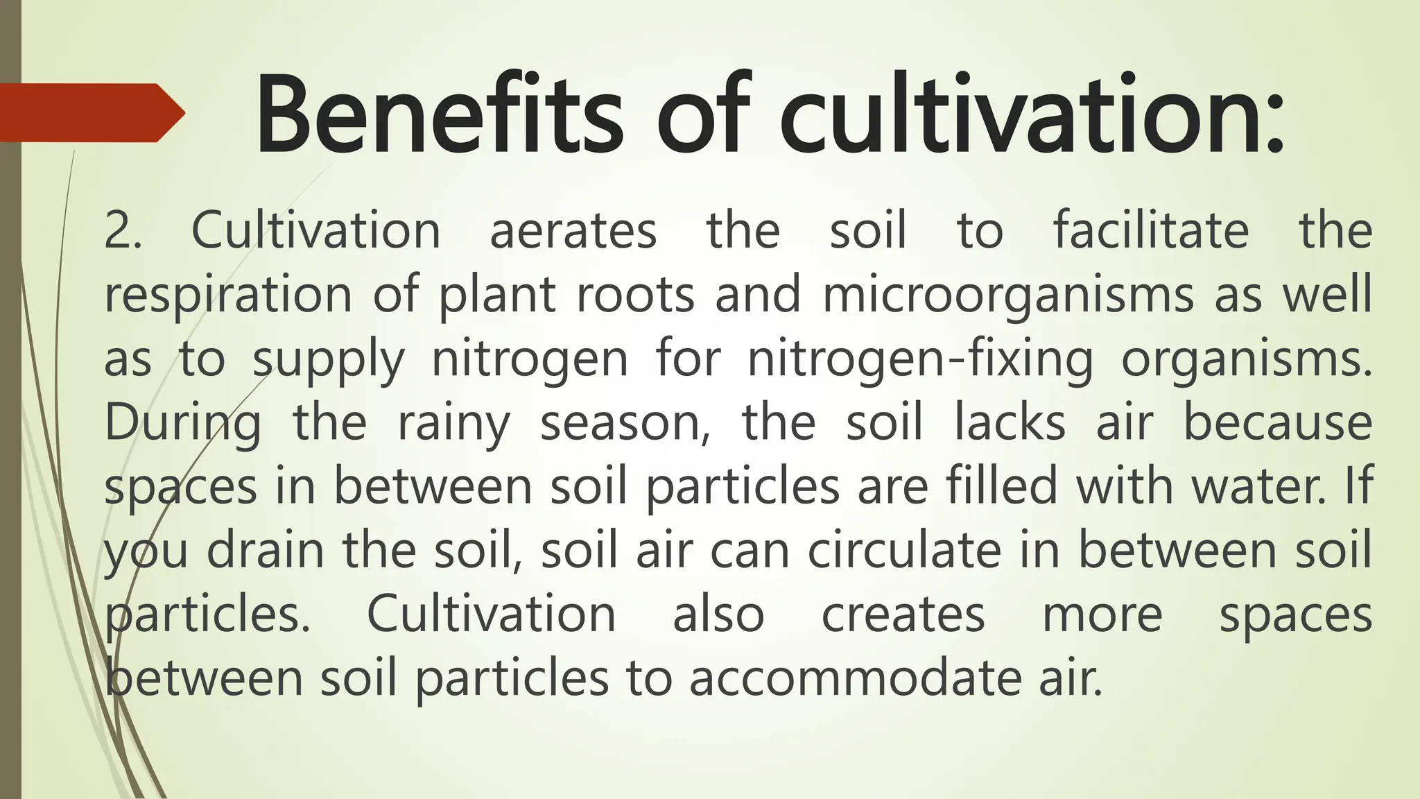 Benefits of cultivation:
2. Cultivation aerates the soil to facilitate the
respiration of plant roots and microorganisms as well
as to supply nitrogen for nitrogen-fixing organisms.
During the rainy season, the soil lacks air because
spaces in between soil particles are filled with water. If
you drain the soil, soil air can circulate in between soil
particles. Cultivation also creates more spaces
between soil particles to accommodate air.
 