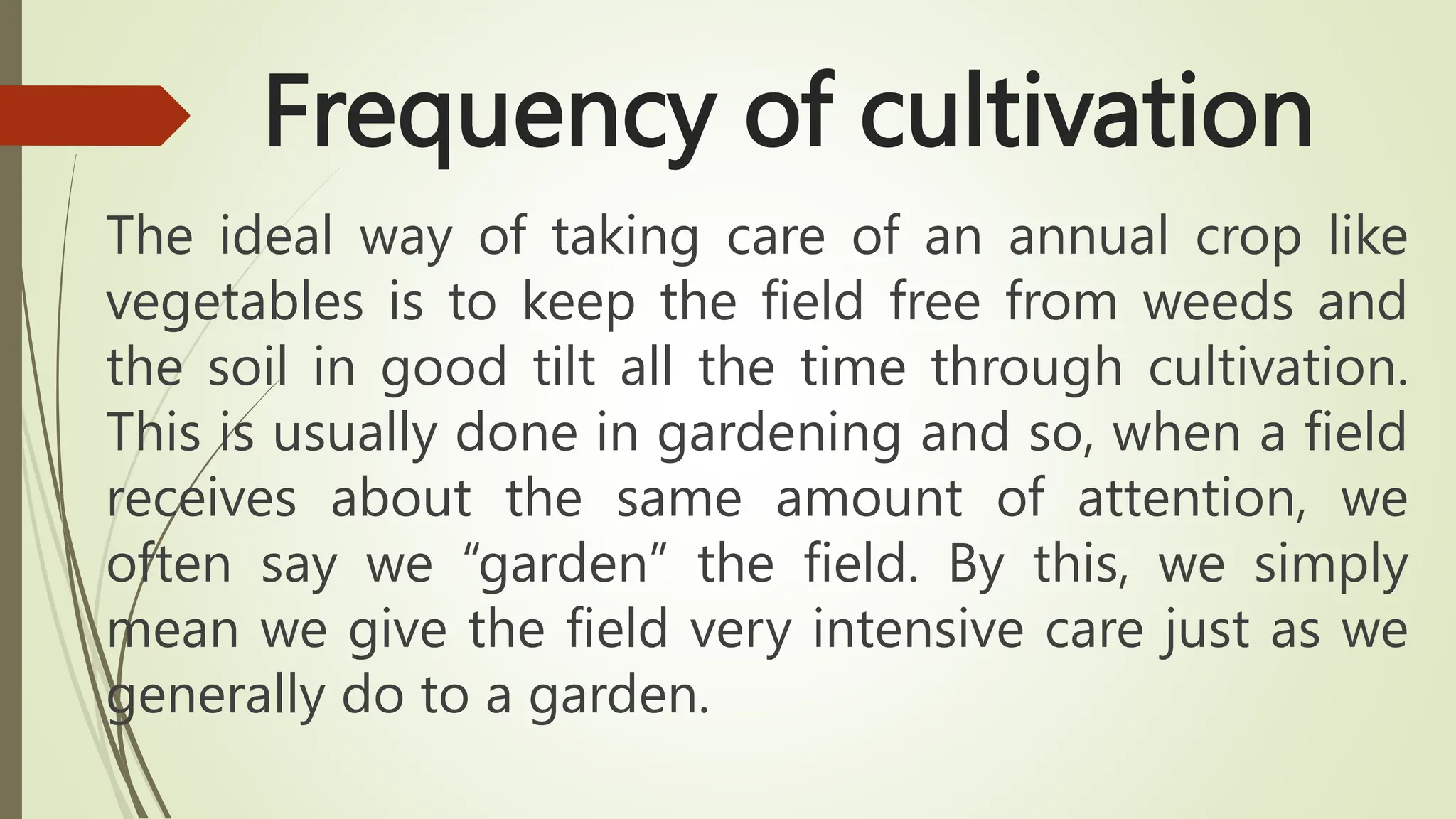 Frequency of cultivation
The ideal way of taking care of an annual crop like
vegetables is to keep the field free from weeds and
the soil in good tilt all the time through cultivation.
This is usually done in gardening and so, when a field
receives about the same amount of attention, we
often say we “garden” the field. By this, we simply
mean we give the field very intensive care just as we
generally do to a garden.
 