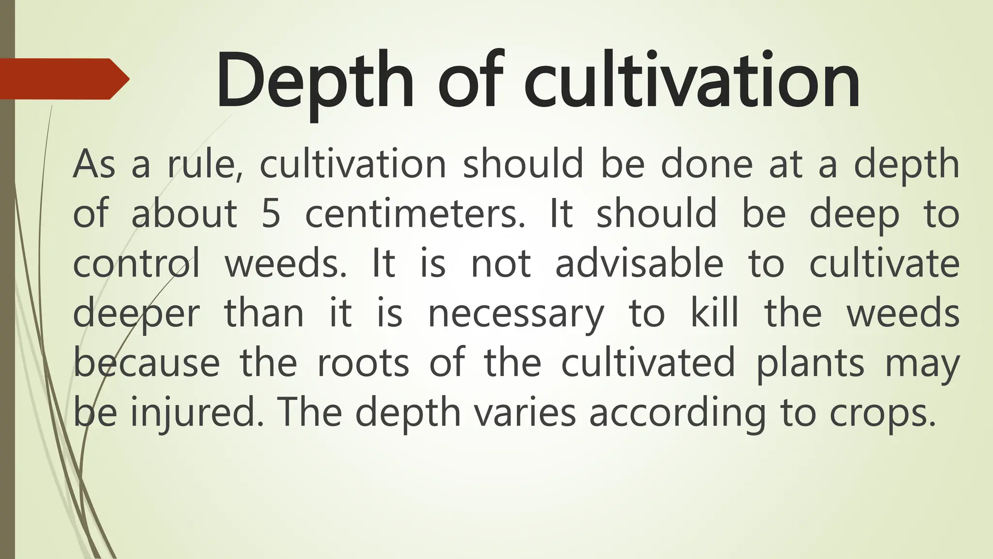 Depth of cultivation
As a rule, cultivation should be done at a depth
of about 5 centimeters. It should be deep to
control weeds. It is not advisable to cultivate
deeper than it is necessary to kill the weeds
because the roots of the cultivated plants may
be injured. The depth varies according to crops.
 