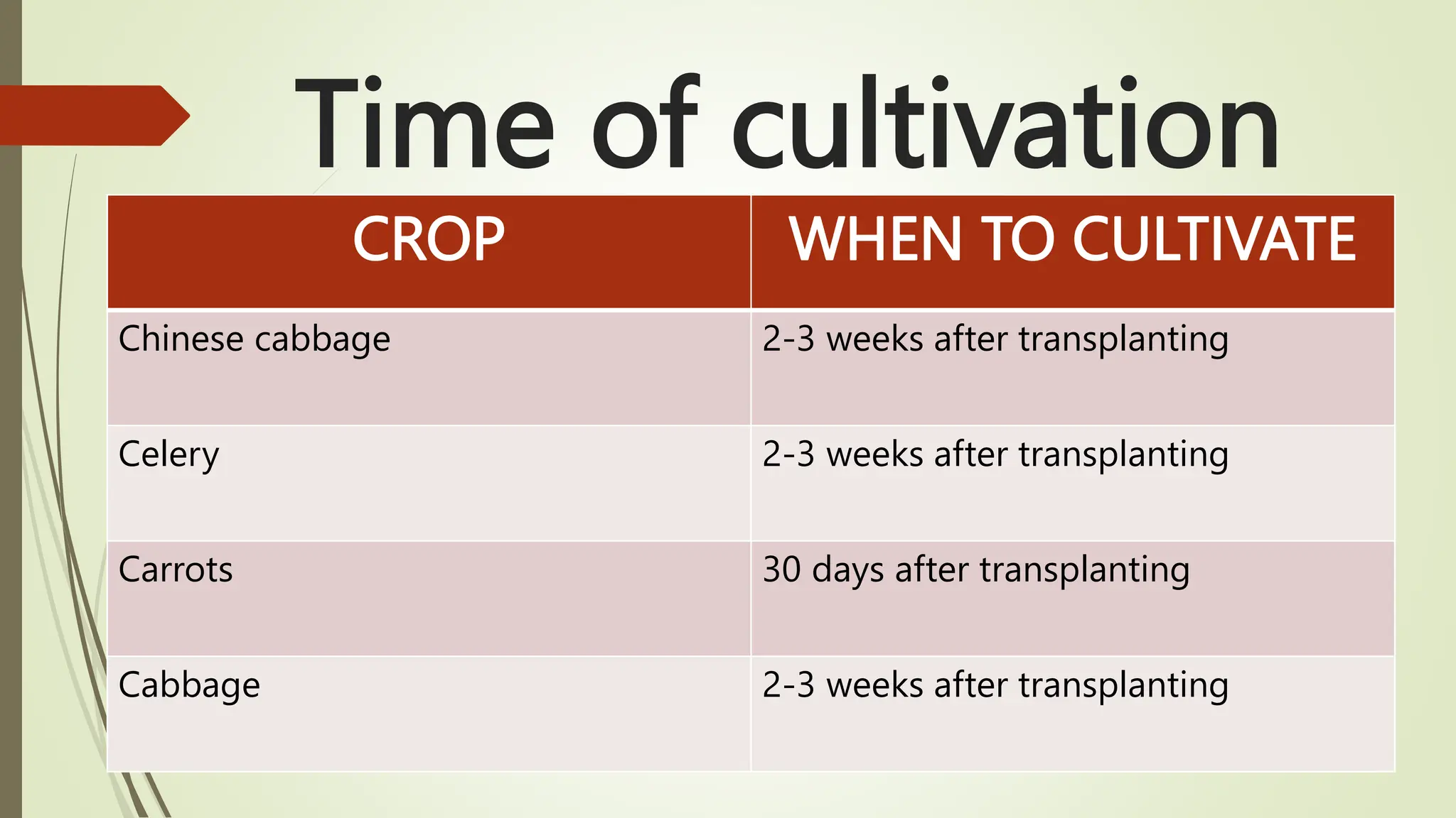 Time of cultivation
CROP WHEN TO CULTIVATE
Chinese cabbage 2-3 weeks after transplanting
Celery 2-3 weeks after transplanting
Carrots 30 days after transplanting
Cabbage 2-3 weeks after transplanting
 