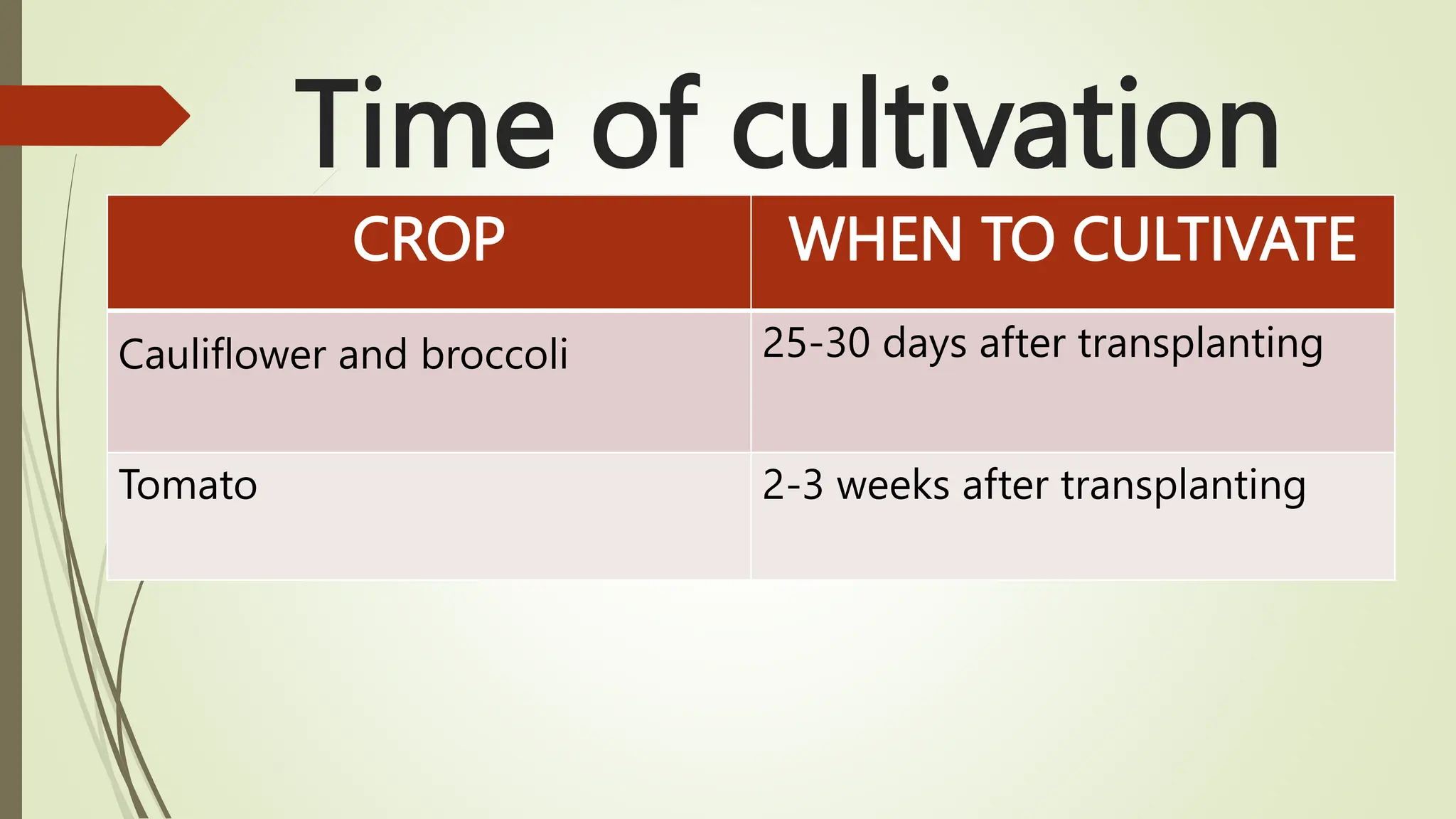 Time of cultivation
CROP WHEN TO CULTIVATE
Cauliflower and broccoli 25-30 days after transplanting
Tomato 2-3 weeks after transplanting
 