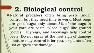 2. Biological control
Natural predators often bring pests under
control, but they need time to work. Most bugs
are good bugs: only about 5% of the bugs in
your yard are pests. “Good bugs” like ground
beetles, ladybugs, and lacewings help control
pests. Do not spray at the first sign of damage
– nature may control it for you, or plants often
just outgrow the damage.
 
