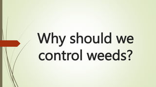 Why should we
control weeds?
 