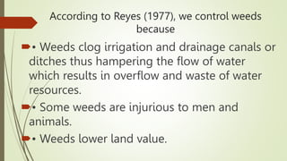 According to Reyes (1977), we control weeds
because
• Weeds clog irrigation and drainage canals or
ditches thus hampering the flow of water
which results in overflow and waste of water
resources.
• Some weeds are injurious to men and
animals.
• Weeds lower land value.
 