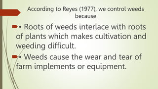 According to Reyes (1977), we control weeds
because
• Roots of weeds interlace with roots
of plants which makes cultivation and
weeding difficult.
• Weeds cause the wear and tear of
farm implements or equipment.
 