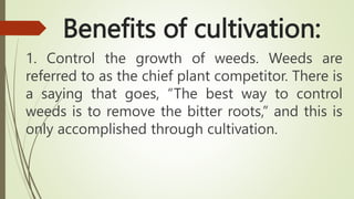 Benefits of cultivation:
1. Control the growth of weeds. Weeds are
referred to as the chief plant competitor. There is
a saying that goes, “The best way to control
weeds is to remove the bitter roots,” and this is
only accomplished through cultivation.
 