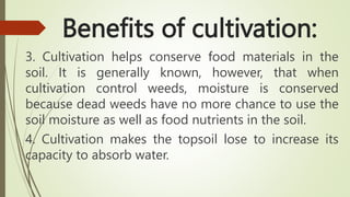 Benefits of cultivation:
3. Cultivation helps conserve food materials in the
soil. It is generally known, however, that when
cultivation control weeds, moisture is conserved
because dead weeds have no more chance to use the
soil moisture as well as food nutrients in the soil.
4. Cultivation makes the topsoil lose to increase its
capacity to absorb water.
 
