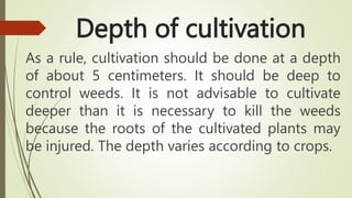 Depth of cultivation
As a rule, cultivation should be done at a depth
of about 5 centimeters. It should be deep to
control weeds. It is not advisable to cultivate
deeper than it is necessary to kill the weeds
because the roots of the cultivated plants may
be injured. The depth varies according to crops.
 