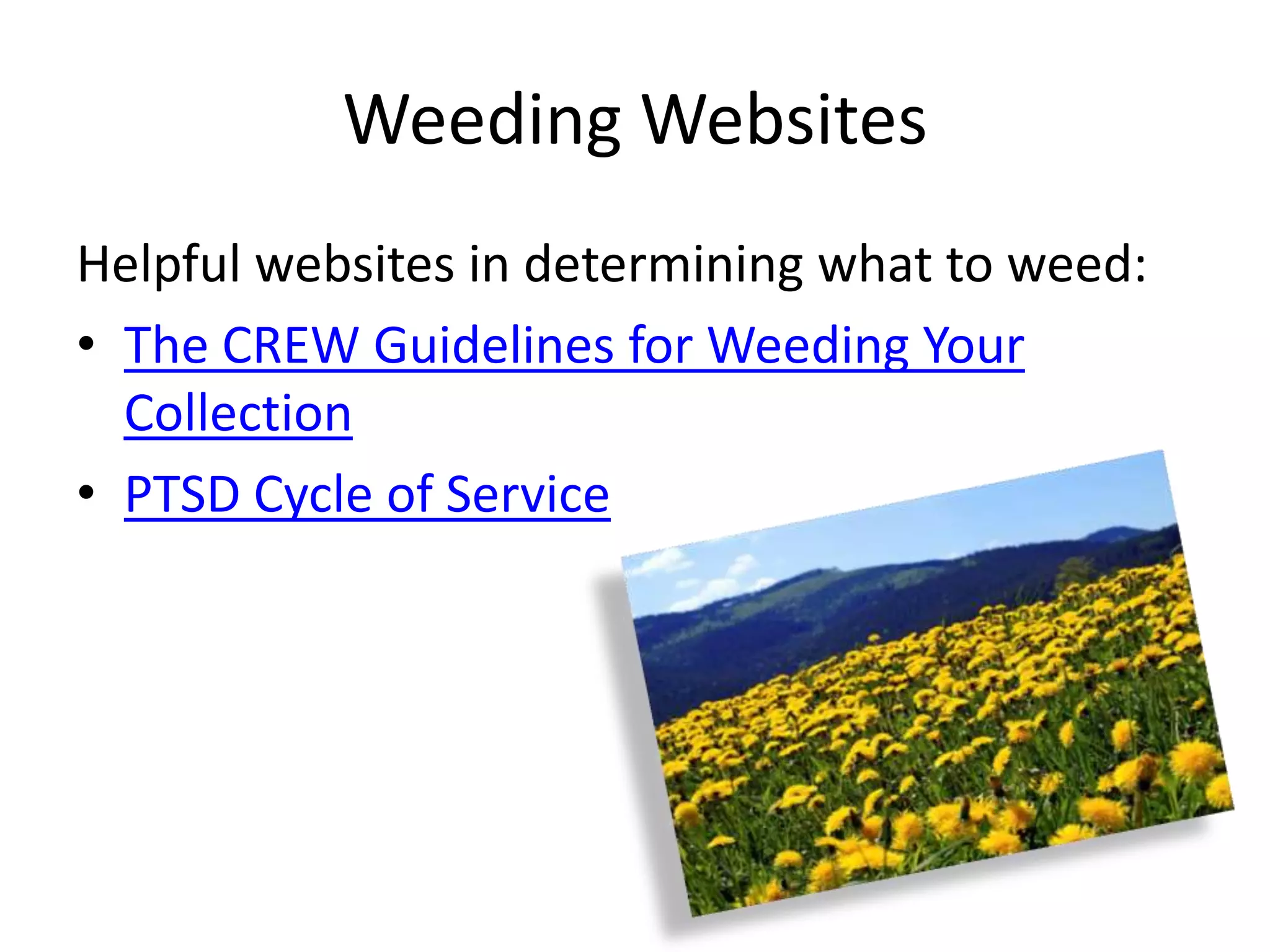 Weeding Websites
Helpful websites in determining what to weed:
• The CREW Guidelines for Weeding Your
  Collection
• PTSD Cycle of Service
 