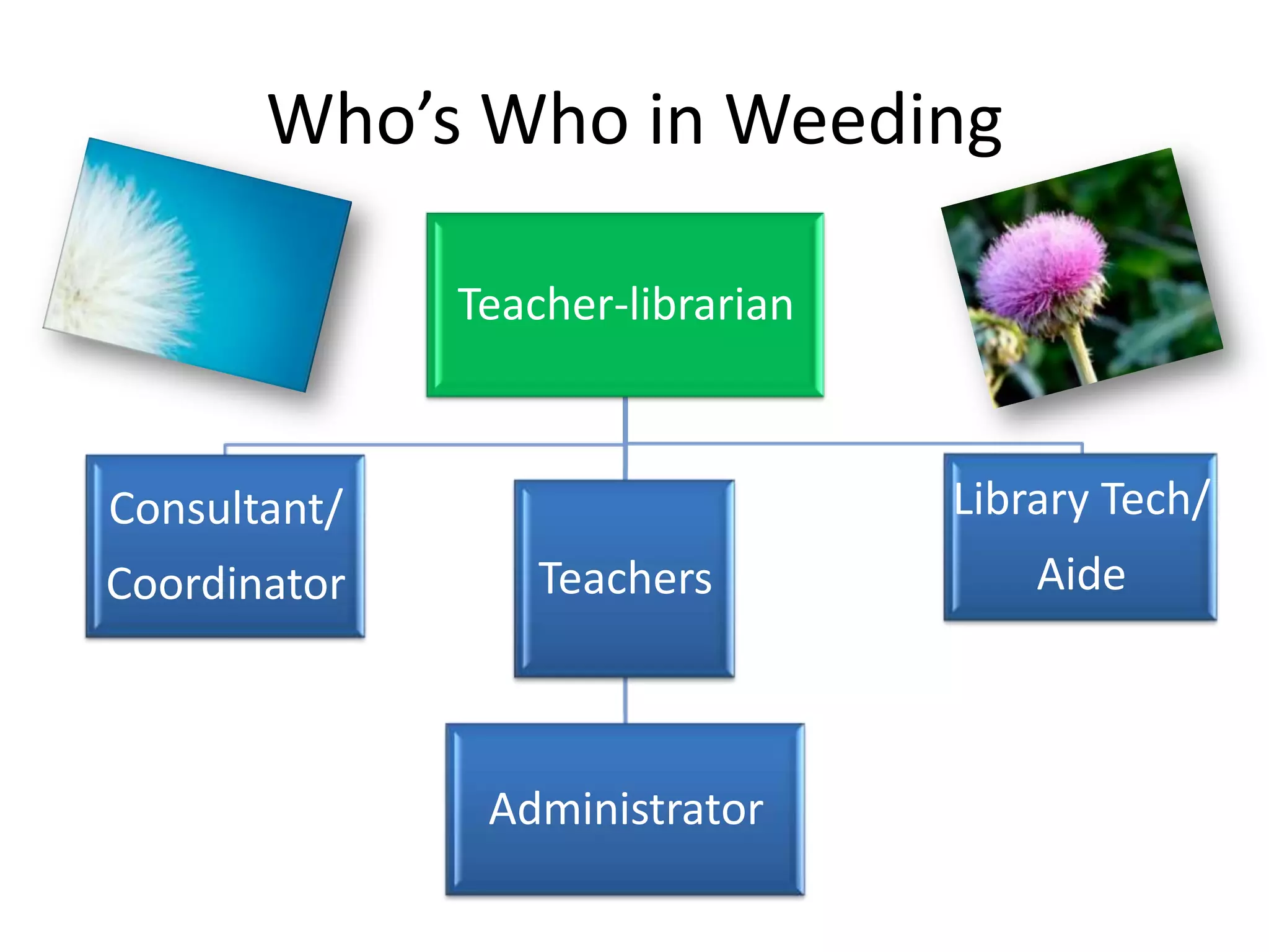Who’s Who in Weeding

              Teacher-librarian



Consultant/                       Library Tech/
Coordinator       Teachers            Aide



               Administrator
 