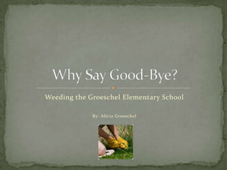Weeding the Groeschel Elementary School

             By: Alicia Groeschel
 
