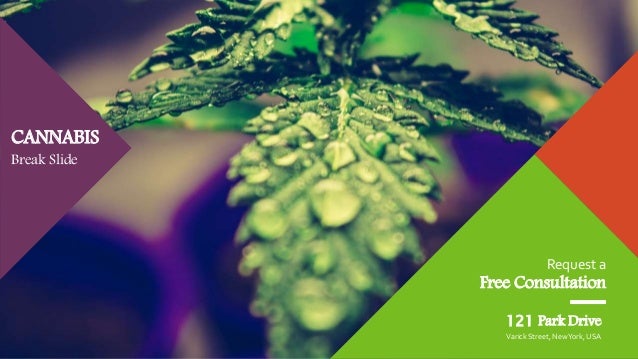 Cannabis PowerPoint Template Weedly