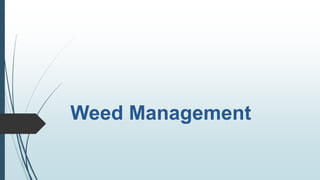 Weed Management
 