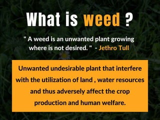 What is weed ?
" A weed is an unwanted plant growing
where is not desired. " - Jethro Tull
Unwanted undesirable plant that interfere
with the utilization of land , water resources
and thus adversely affect the crop
production and human welfare.
 