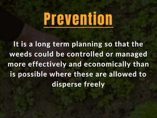 It is a long term planning so that the
weeds could be controlled or managed
more effectively and economically than
is possible where these are allowed to
disperse freely
Prevention
 