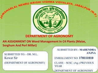 DEPARTMENT OF AGRONOMY
AN ASSIGNMENT ON Weed Management In C4 Plants (Maize,
Sorghum And Perl Millet)
SUBMITTED TO: - DR. M.L.
Kewat Sir
(DEPARTMENT OF AGRONOMY)
SUBMITTED BY:- MAHENDRA
ANJNA
ENROLLMENT NO: 170111010
CLASS: - M.SC. (Ag.) PREVIOUS
YEAR
DEPARTMENT OF AGRONOMY
 