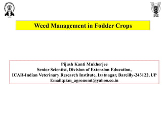 Weed Management in Fodder Crops
Pijush Kanti Mukherjee
Senior Scientist, Division of Extension Education,
ICAR-Indian Veterinary Research Institute, Izatnagar, Bareilly-243122, UP
Email:pkm_agronomt@yahoo.co.in
 