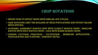 Weed management practices in organic agriculture | PPTX