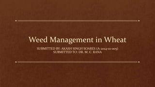 Weed Management in Wheat
SUBMITTED BY: AKASH SINGH SOARES (A-2014-01-005)
SUBMITTED TO: DR. M. C. RANA
 