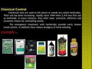 Chemical Control 
Chemicals that are used to kill plants or weeds are called herbicides. 
Their use has been increasing rapidly since 1944 when 2,4-D was first use 
as herbicide. In many instance, they offer most practical, effective and 
economic means for controlling weeds. 
Pre emergence treatment with herbicides provide early season 
weed control. In addition they reduce drudgery of hand weeding. 
example :- 
 