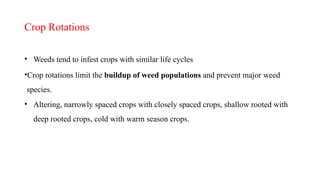 Organic farming Weed Management organic Farming.pptx