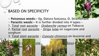 weed management ppt.pptx