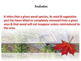 Eradication
It infers that a given weed species, its seed & vegetative
part has been killed or completely removed from a given
area & that weed will not reappear unless reintroduced to
the area.
 