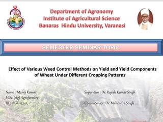 Name : Manoj Kumar
M.Sc. (Ag) Agroforestry
ID : AGF-14205
Supervisor : Dr. Rajesh Kumar Singh
Co-supervisor: Dr. Mahendra Singh
Effect of Various Weed Control Methods on Yield and Yield Components
of Wheat Under Different Cropping Patterns
 