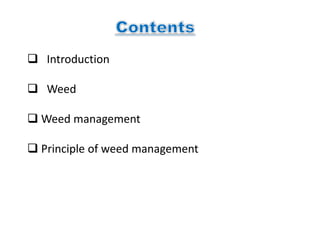  Introduction
 Weed
 Weed management
 Principle of weed management
 