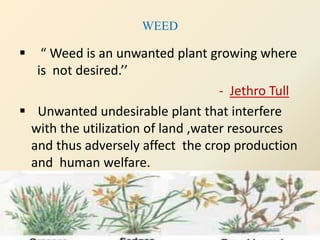 WEED
 “ Weed is an unwanted plant growing where
is not desired.’’
- Jethro Tull
 Unwanted undesirable plant that interfere
with the utilization of land ,water resources
and thus adversely affect the crop production
and human welfare.
 